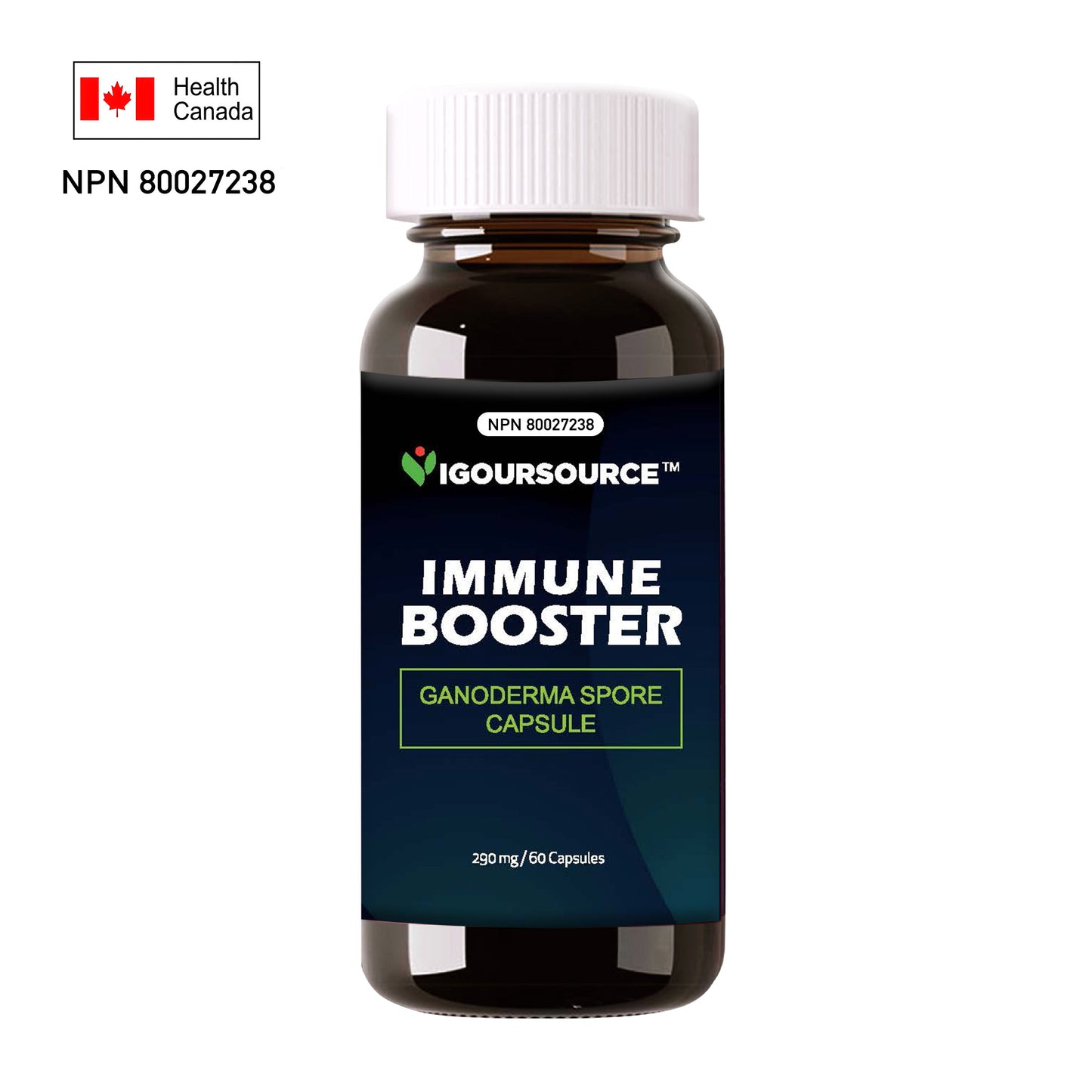 IGOURSOURCE Immune Booster 290mg x 60 softgels
